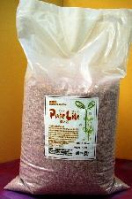 PureLite�ᤤ�ж�̳�ѥ������10���